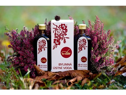 MG 2639 – kopie (1280x846)