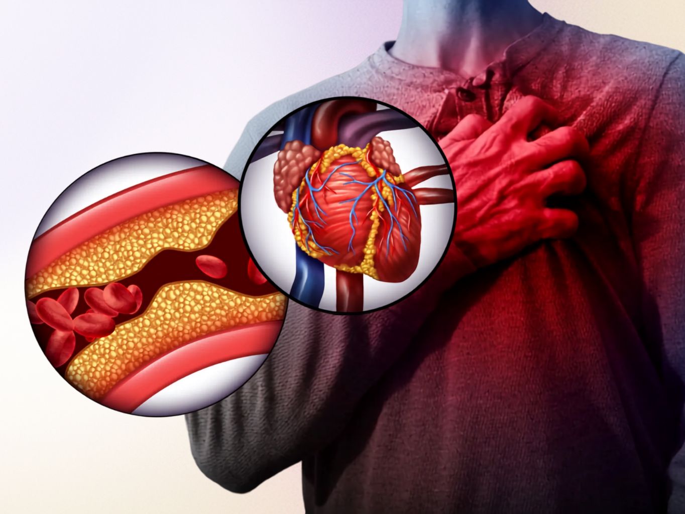 Lysofosfolipidy a zdraví cév: co říká výzkum