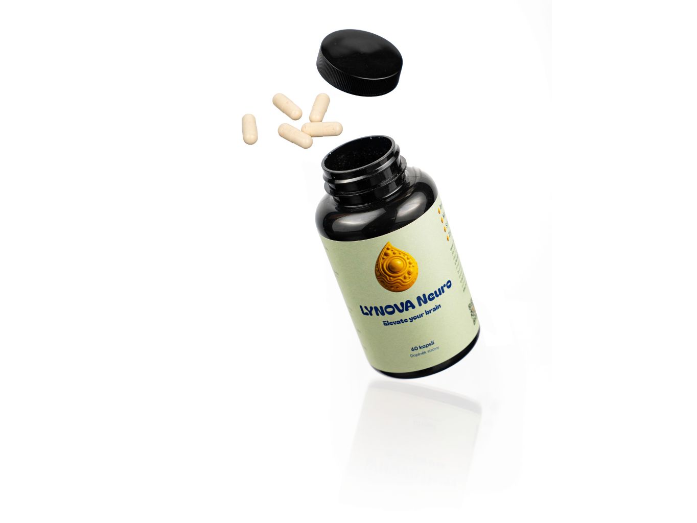Mozek a omega-3 mastné kyseliny
