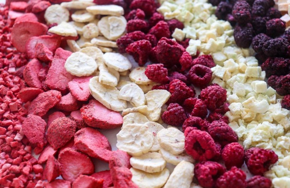 Co je lyofilizace – jak funguje sušení mrazem