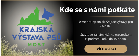 mostecka vystava