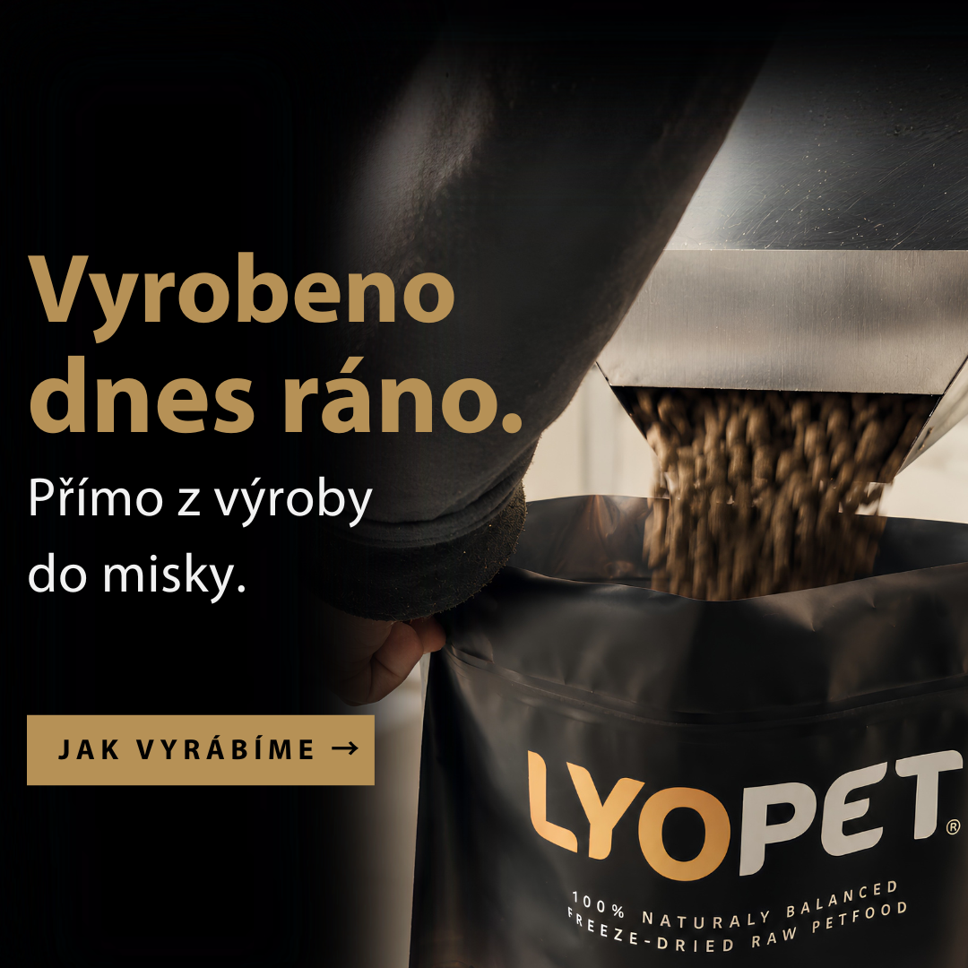 Výroba MOB
