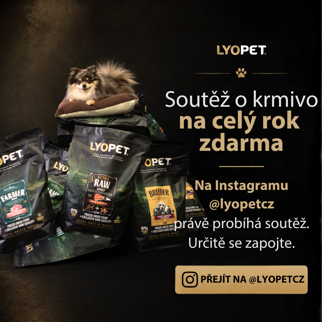 Soutěž MOB