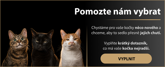 kočičí novinky