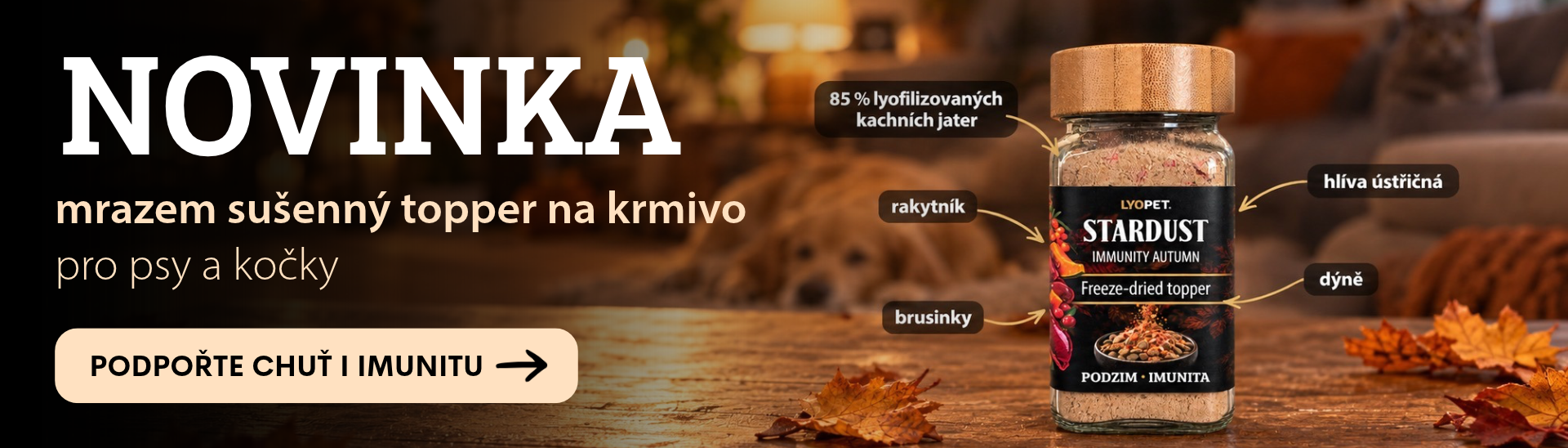 novinka stardust web