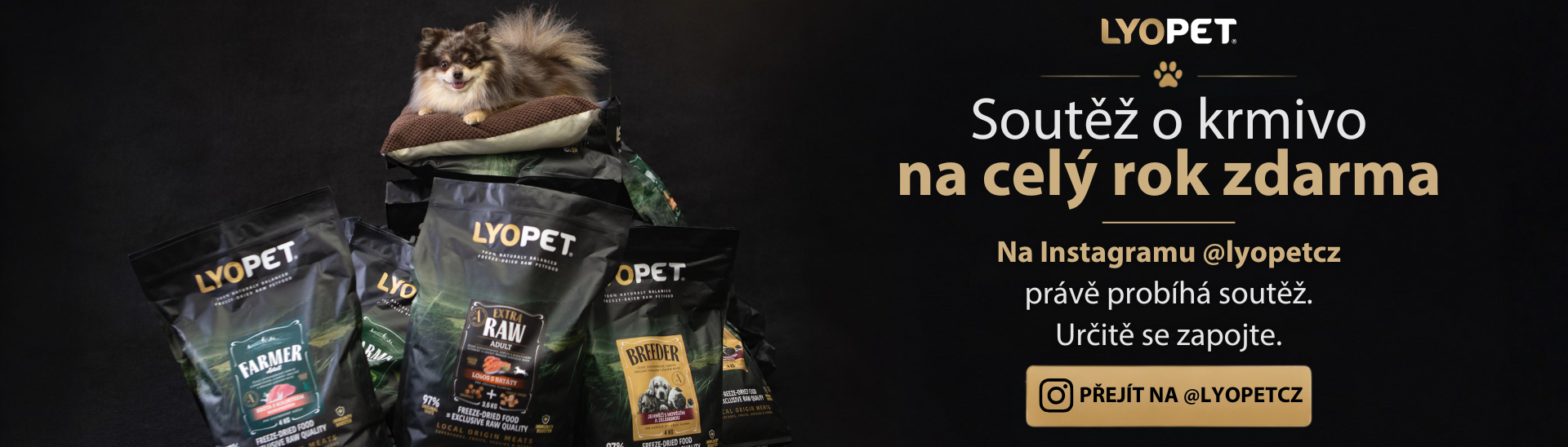 Soutěž PC