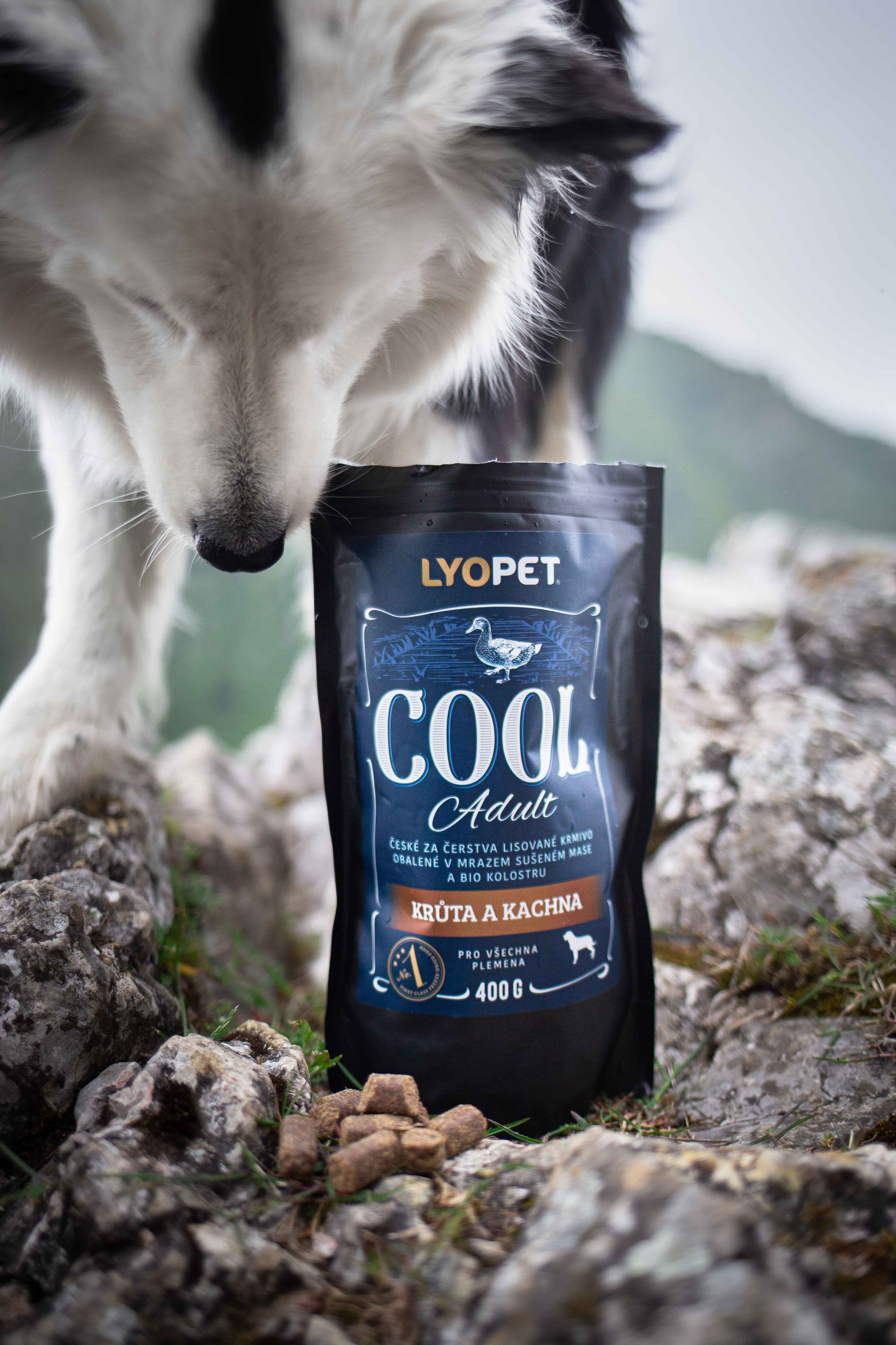 Lyopet Salmon