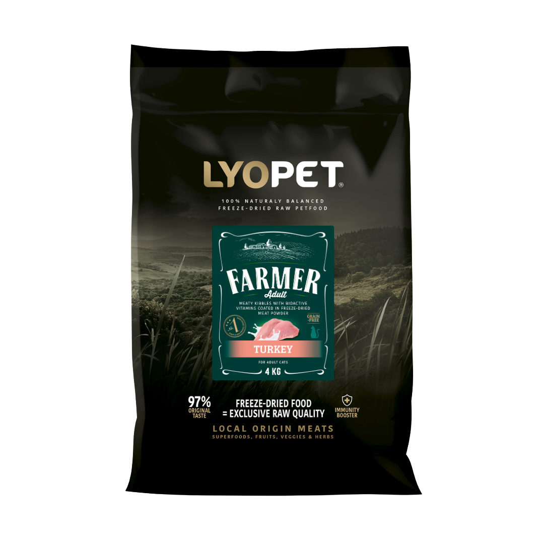 Ochutnávka Fish Cat