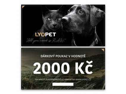 Lyo Voucher Shop 2000