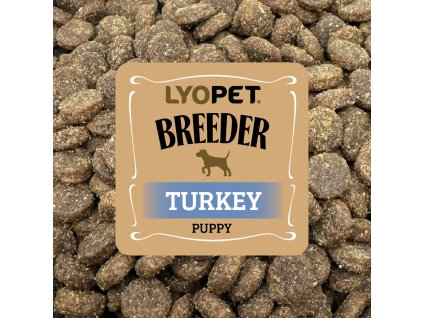 vzorek Breeder Turkey Puppy