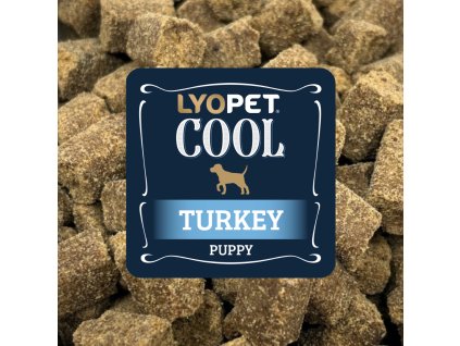 vzorek Cool Turkey Puppy