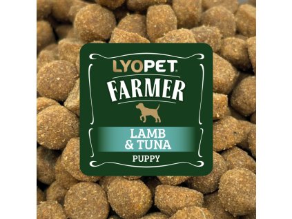 vzrek Farmer Lanmb Puppy