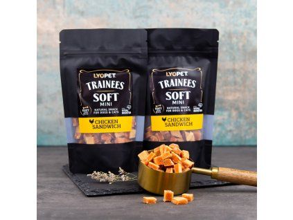 1474 trainees snack soft mini chicken sandwich