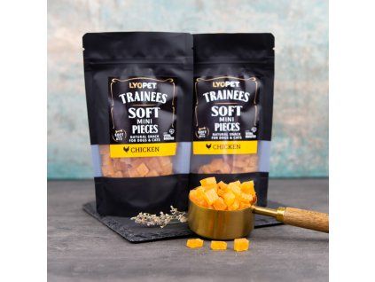 1477 4 trainees snack soft mini pieces chicken