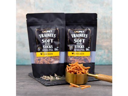 1513 trainees snack soft mini sticks chicken