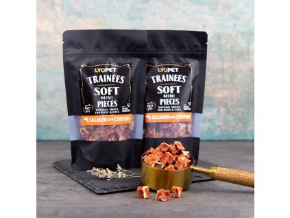 1522 trainees snack soft pieces salmon with codfish