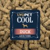 vzorek LYOPET Cool Dog Adult Mini Duck