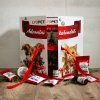 Adventní kalendář pro kočky  PŘEDPRODEJ - 1. vlna