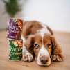 Wet Food Lamb & Pumpkin 400g  jehněčí s dýní pro psy