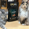 Farmer Sterilised Cat Salmon  bezobilné granule pro kočky s lososem