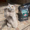 Farmer Sterilised Cat Turkey  bezobilné granule pro kočky s krůtím masem
