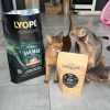 Farmer Sterilised Cat Turkey  bezobilné granule pro kočky s krůtím masem