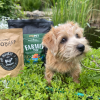 Farmer Puppy Mini Salmon  granule pro štěňata malých plemen s lososem