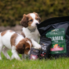 Farmer Puppy Starter Salmon  granule pro štěňata od 4. týdne s lososem