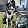 Farmer Puppy Lamb & Tuna  granule pro štěňata s jehněčím a tuňákem
