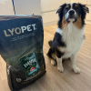 Farmer Puppy Lamb & Tuna  granule pro štěňata s jehněčím a tuňákem
