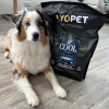 Cool Puppy Turkey  za studena lisované granule s krůtím a kachním masem