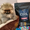 Cool Puppy Mini Turkey  za studena lisované granule s krůtím a kachním masem