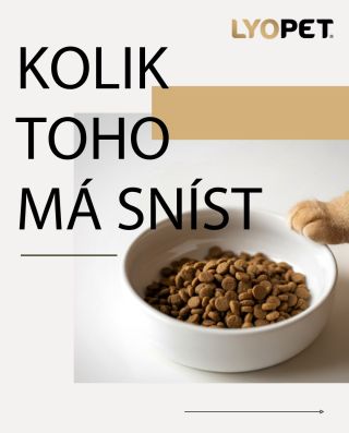 „Vždyť dostává jen, co je na pytli." 🐾 Tuhle větu slyší veterináři až moc často - většinou nad váhou, která ukazuje o pár...