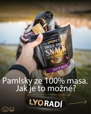 Pamlsky ze 100 % masa pro psy i kočky. Jak je to možné? Díky lyofilizaci 🧊 Maso se zmrazí a voda z něj odejde rovnou jako...