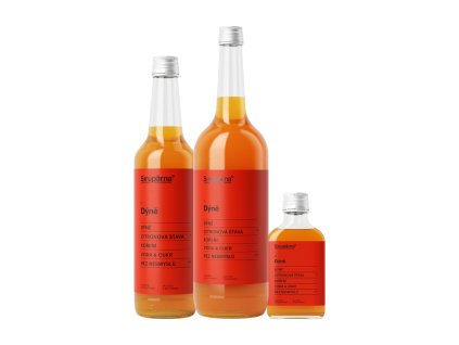 Dýňový sirup (Objem 0.1 L)