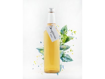 Kopřivový sirup (Objem 0.1 L)