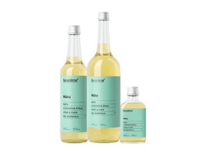 Mátový sirup (Objem 0.1 L)