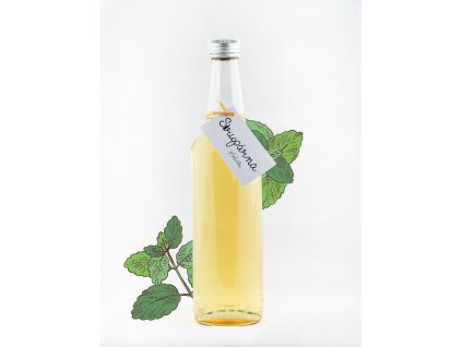 Meduňkový sirup (Objem 0.1 L)