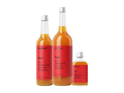 Šípkový sirup (Objem 0.1 L)