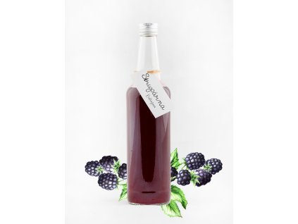 Ostružinový sirup (Objem 0.1 L)