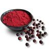 BIO český černý rybíz lyofilizovaný (sušeno mrazem) - prášek