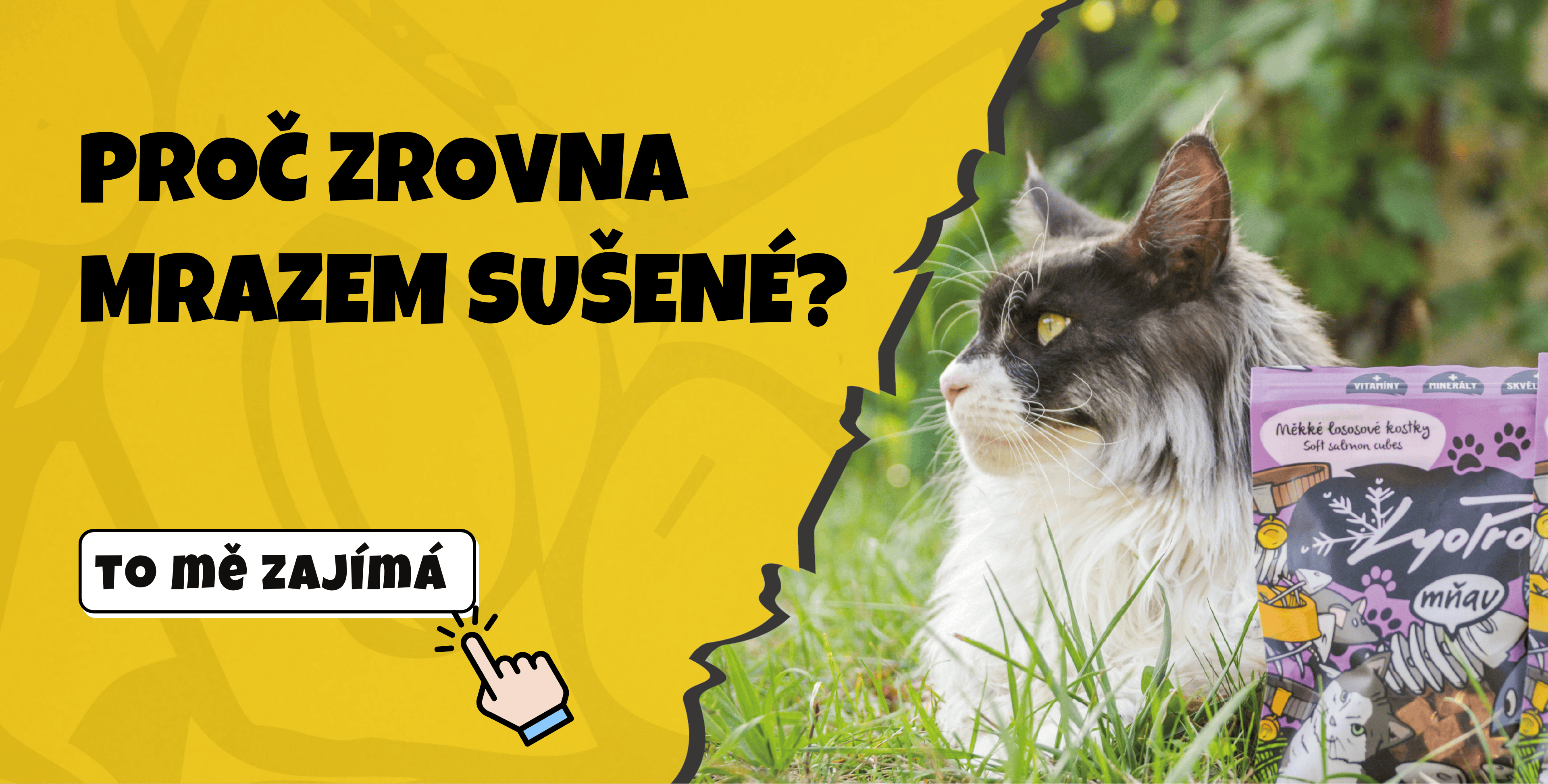 Co je to lyofilizace?