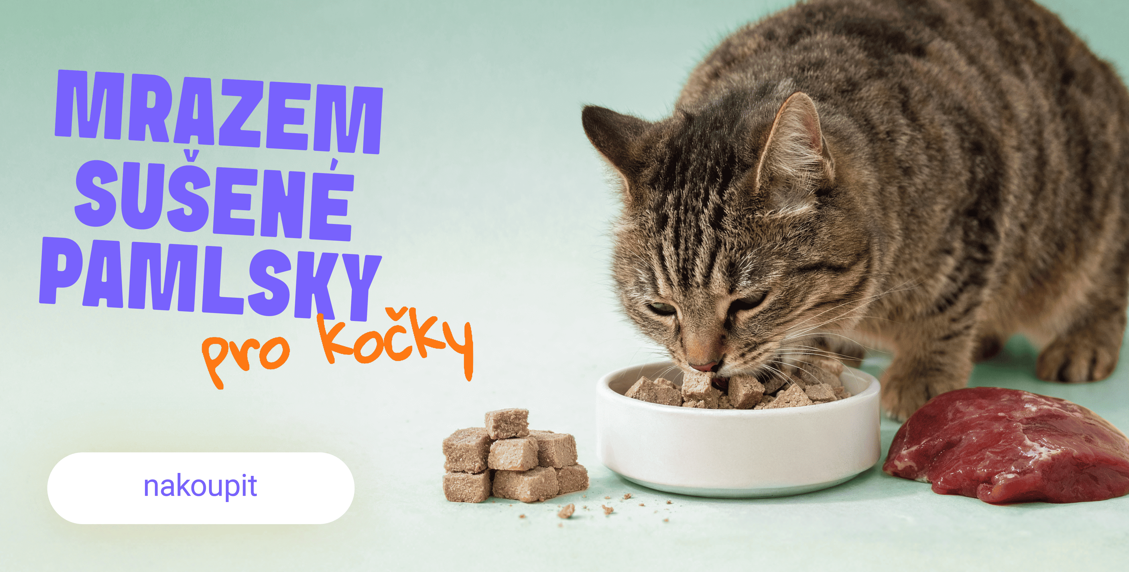 Co je to lyofilizace?