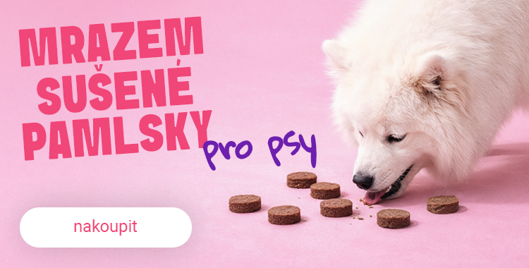 Slevy pro naše nejvěrnější