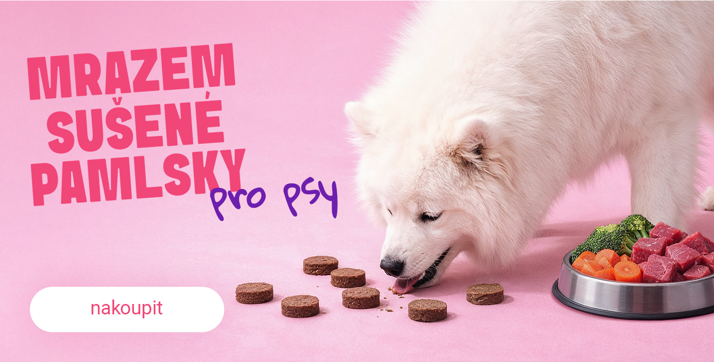 Slevy pro naše nejvěrnější