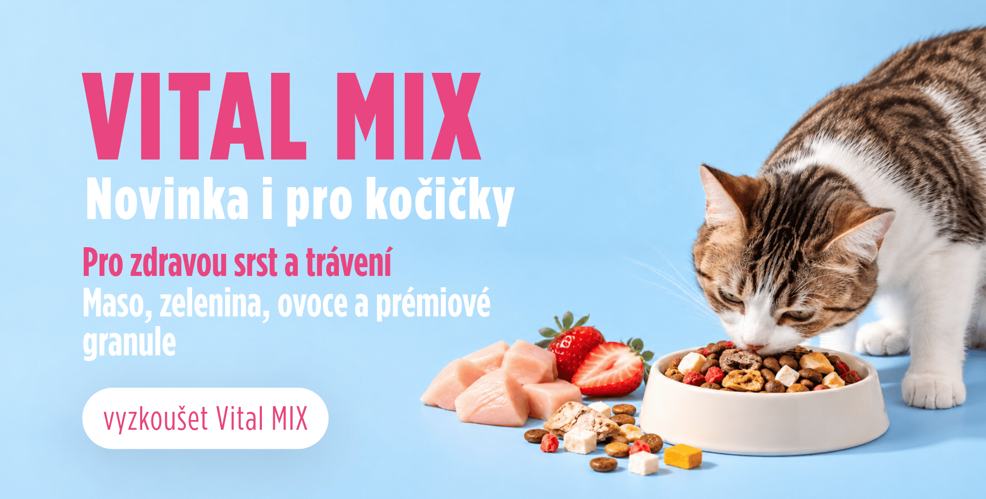 vital kocka