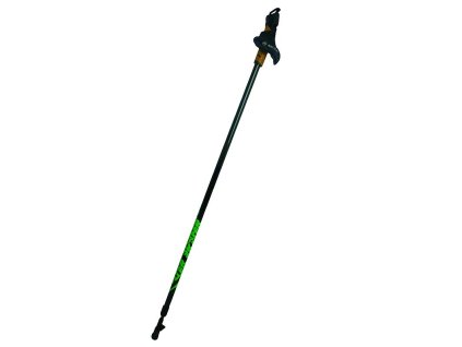 1 RollerScater black green