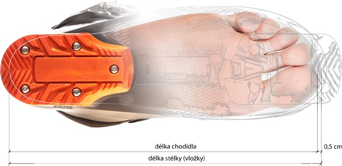  AKO VYBRAŤ SPRÁVNU VEĽKOSŤ KORČULE ČI LYŽIARKY?