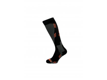 tecnnica wool skisocks