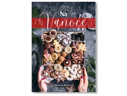Kopie návrhu Newsletter